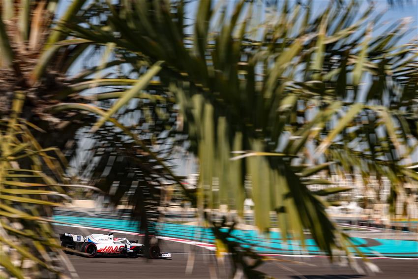 F1 car and palm tree